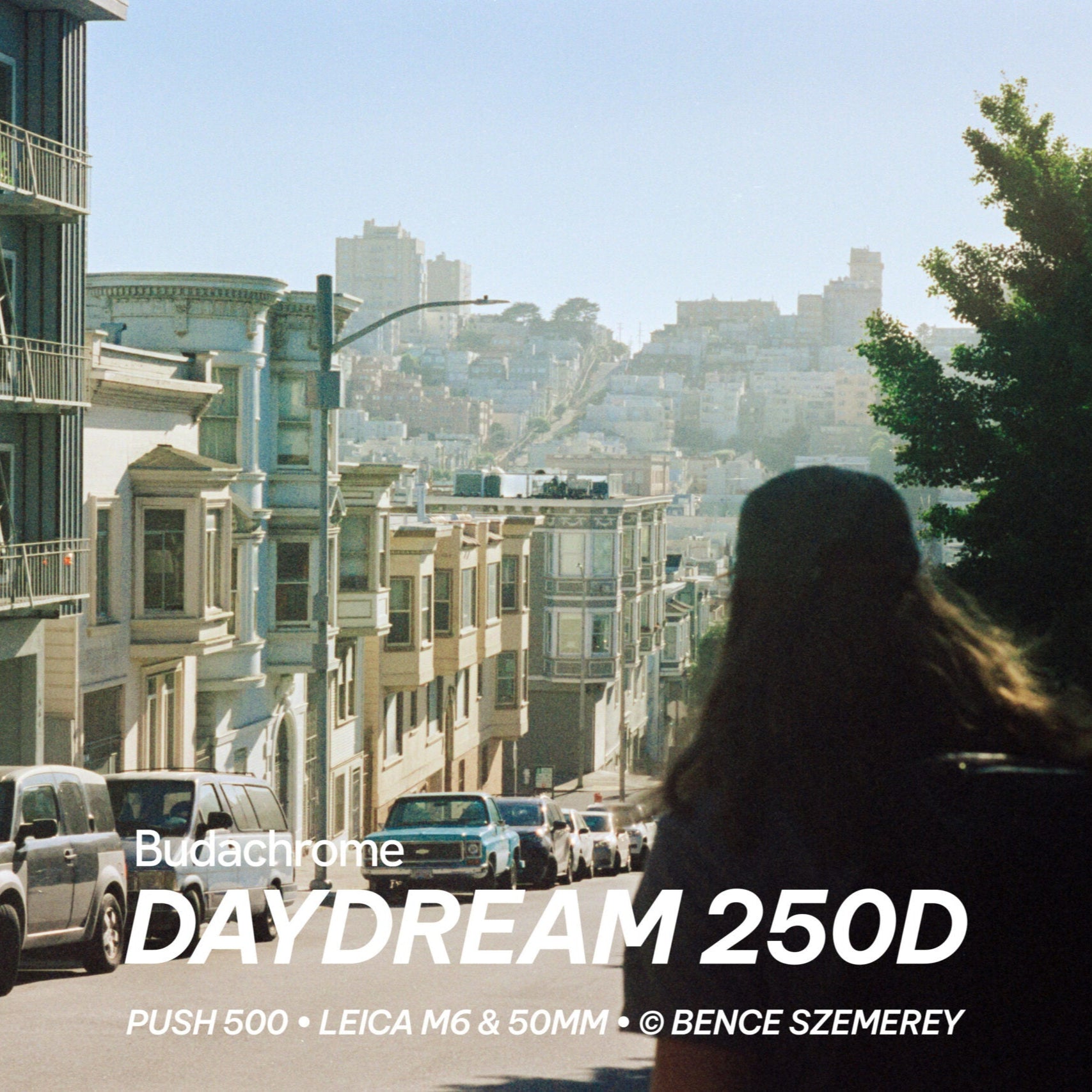 Budachrome Daydream 250D (AHU - No Remjet) 135-36 (Kleinbild)