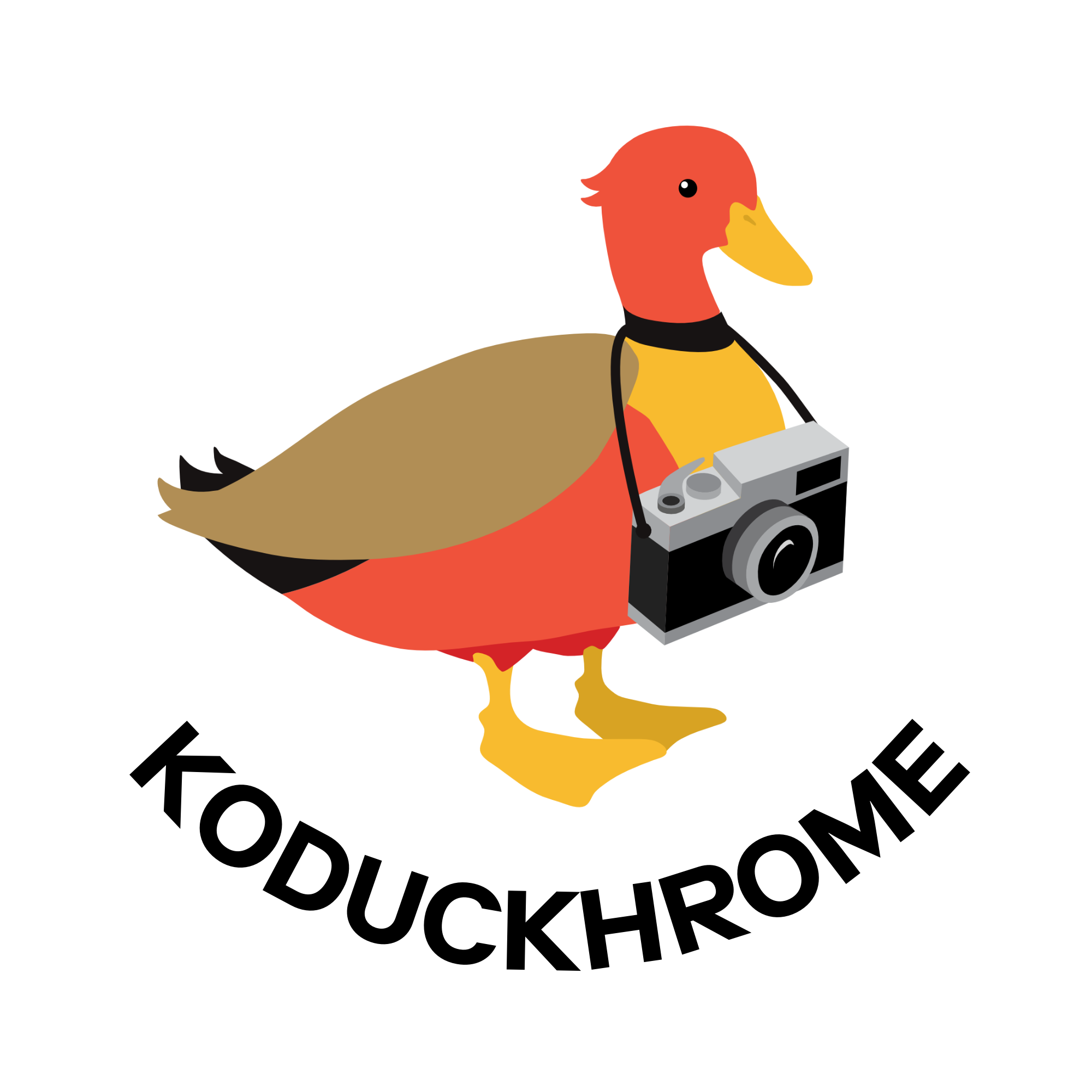 KHROME T-Shirt Koduckhrome Ente (Aloe)