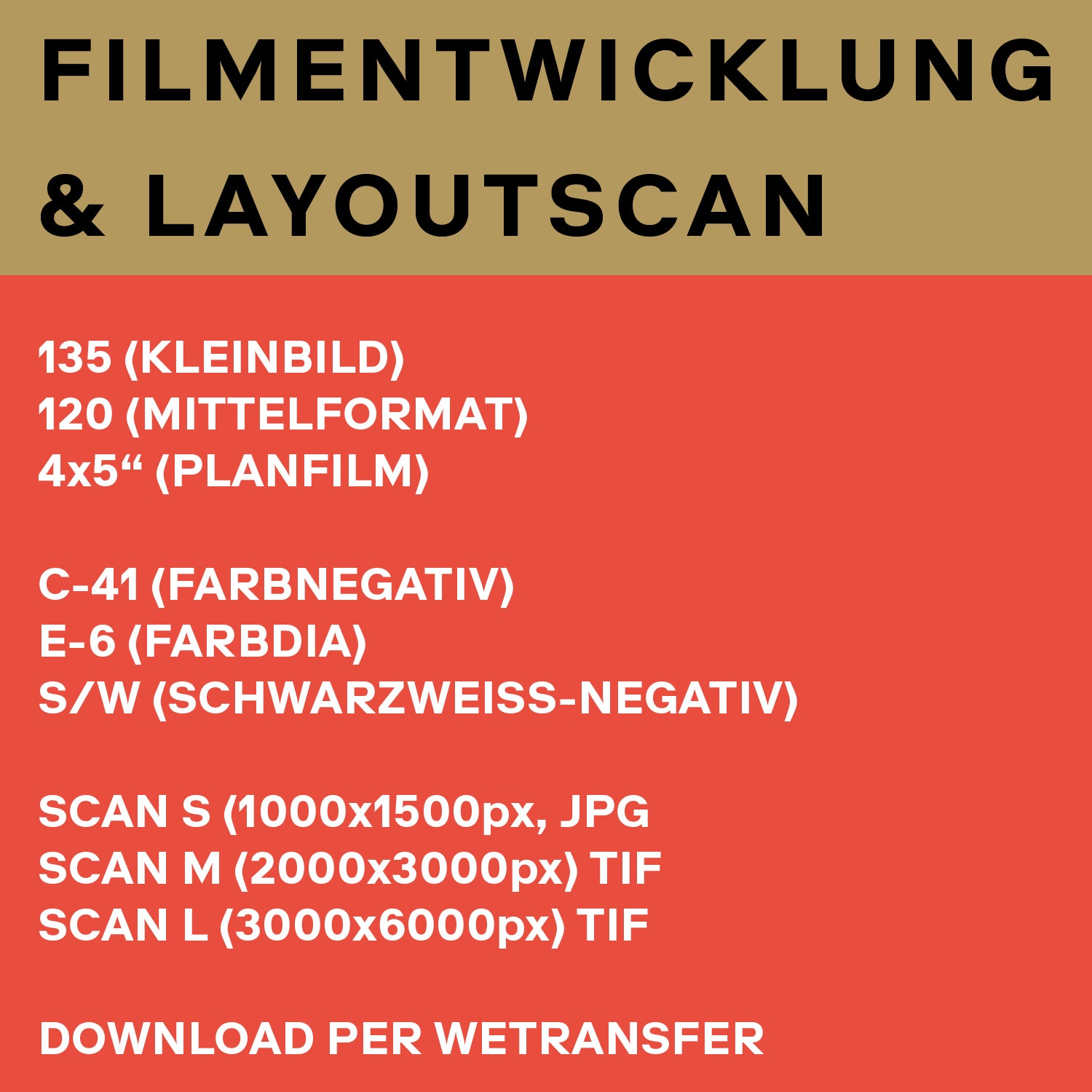 Filmentwicklung & Layoutscan