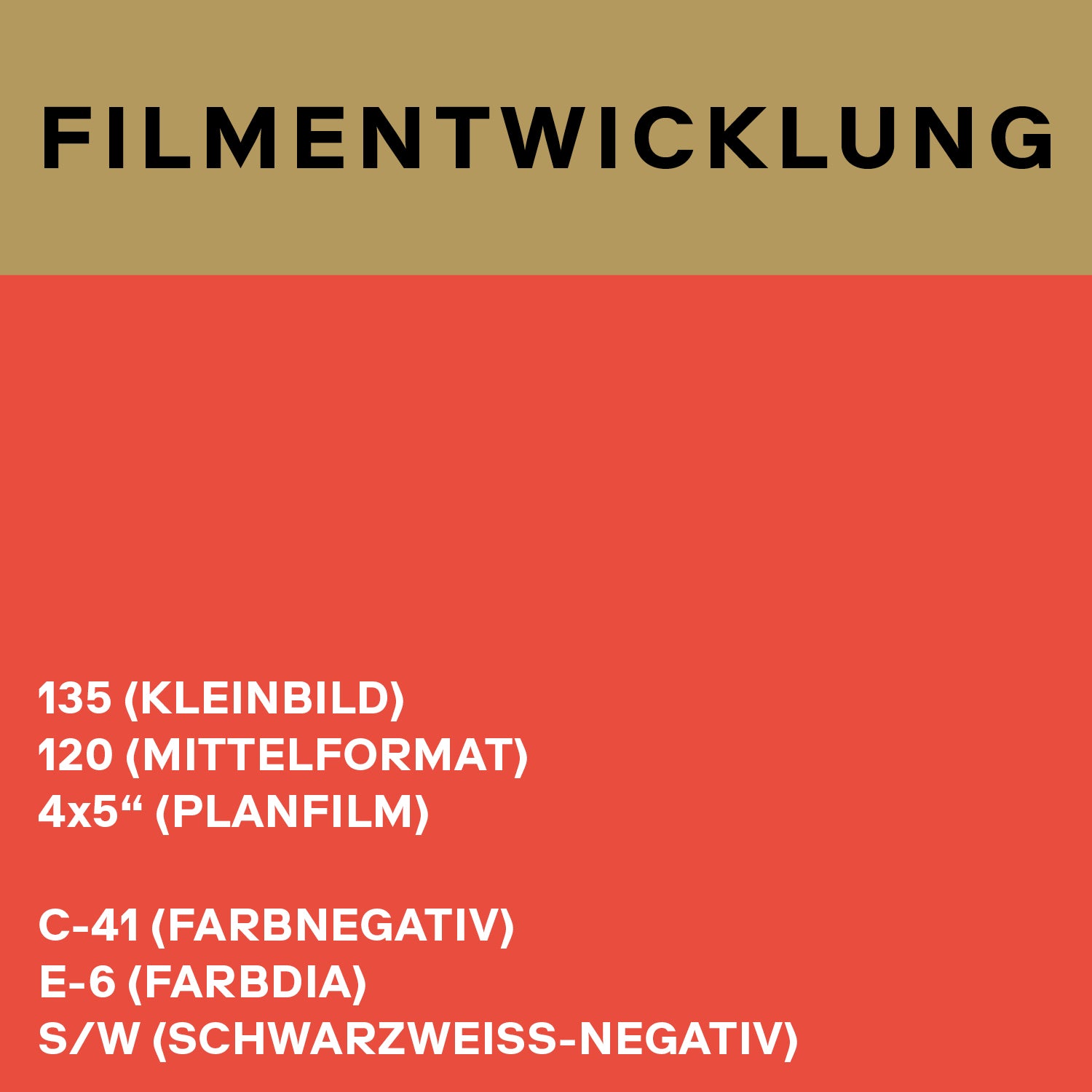 Filmentwicklung