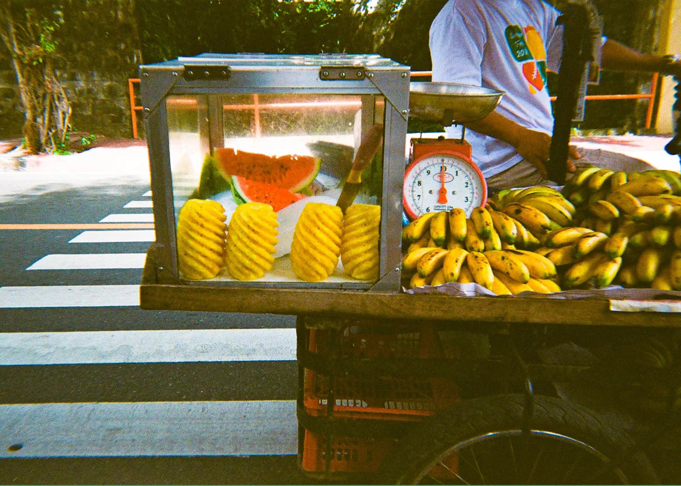 Art Meets Education Print "Fresh Bananas - John Bricks, 6"