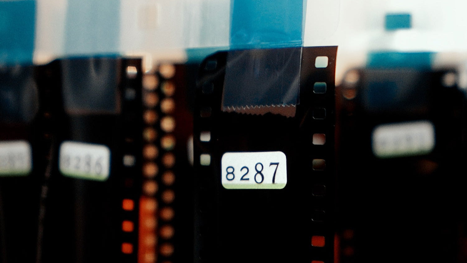 Analog film hanging in the lab