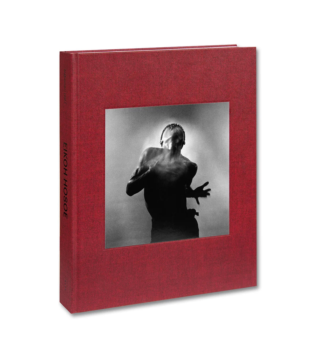 Yasufumi Nakamori - Eikoh Hosoe (English edition)