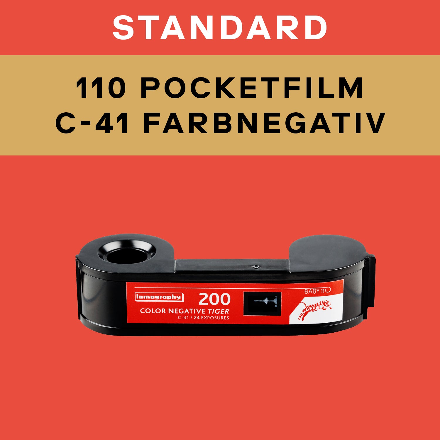 110 C-41 Standard