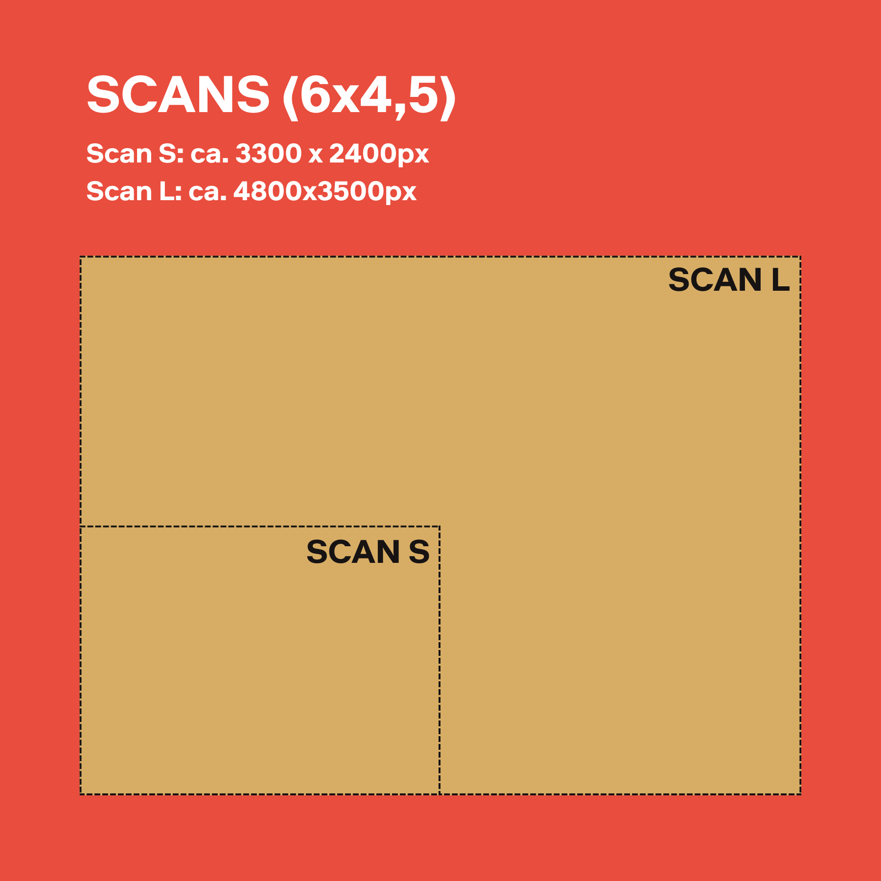 120 C-41 Standard