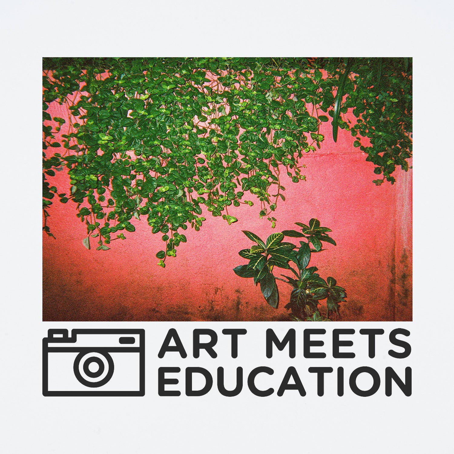 Art Meets Education Print "Green Pink - Maedane, 5"