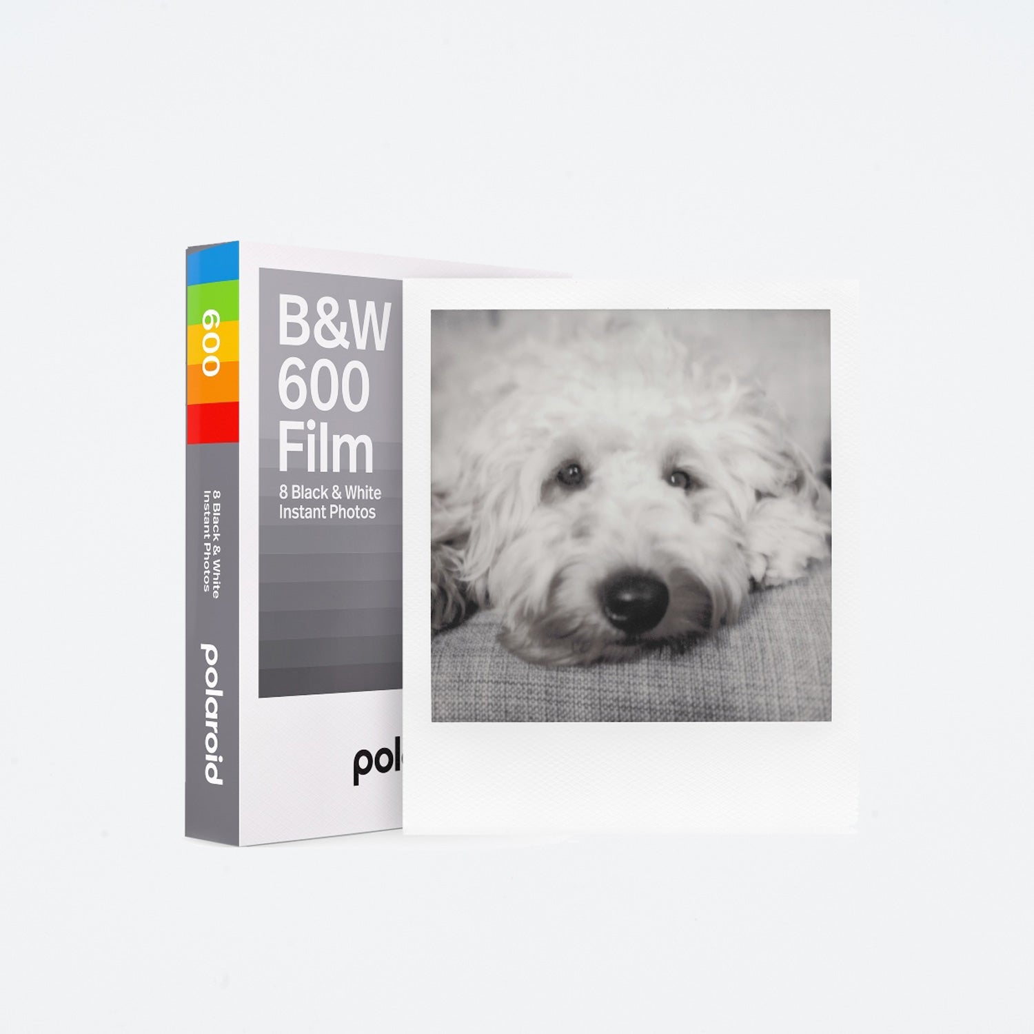 Polaroid 600 B&W SW-Film