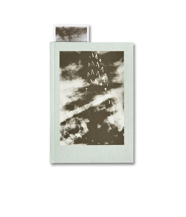 Takashi Homma - The Narcissistic City Notebook